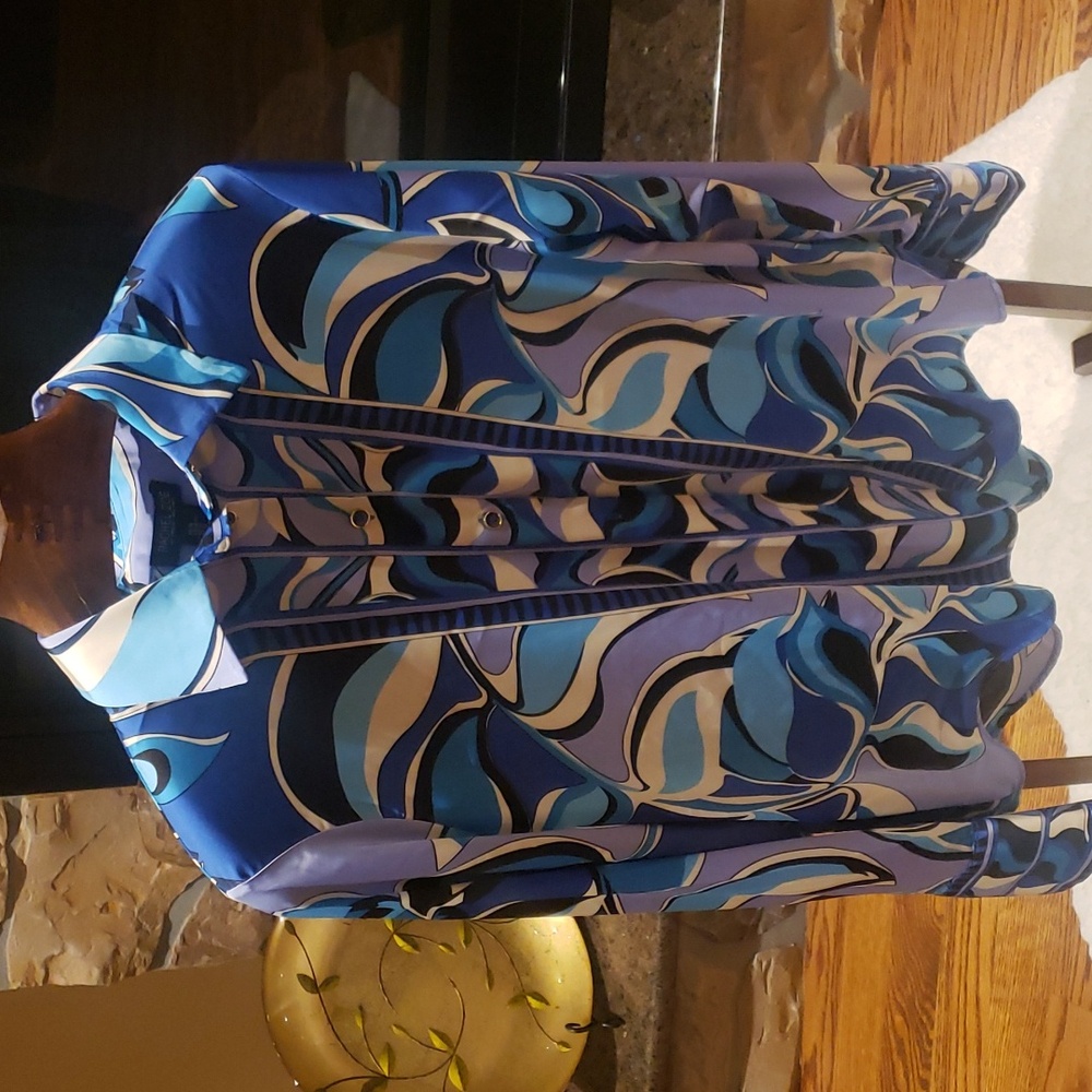 Rachel Zoe Blue and White Button Down Shirt - Picture 2 of 8
